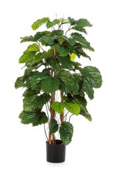 43104N-iskusstvennaya-tetrastigma-kustovaya-120-cm